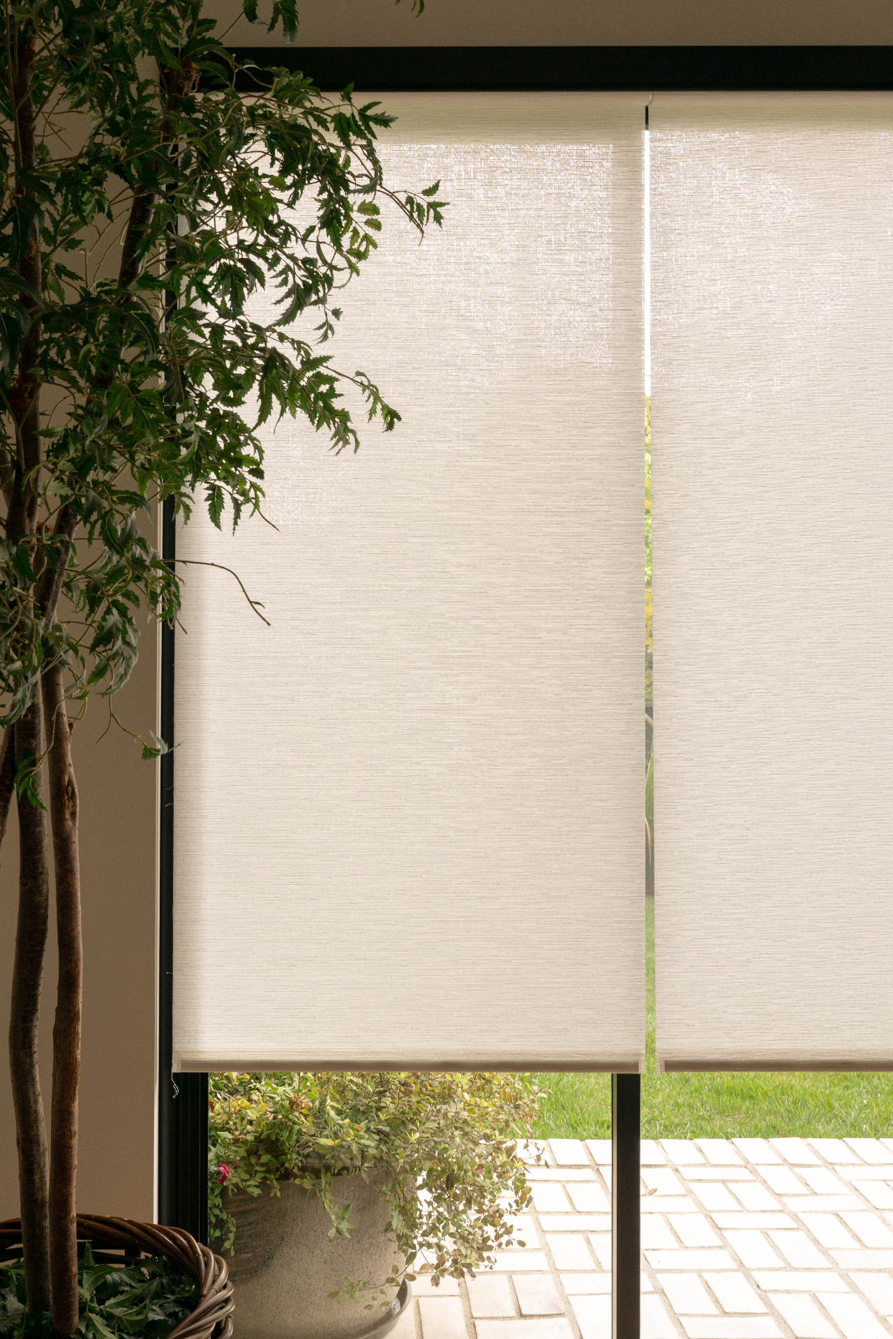 Custom roller shades in a sunlit garden window